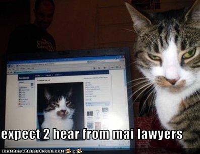 funny-pictures-cat-threatens-you-with-lawyers